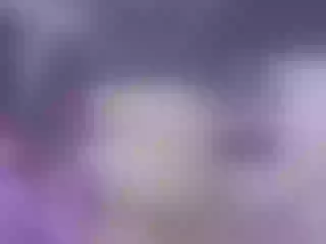 Live sex webcam photo for Gwonteer #273711466