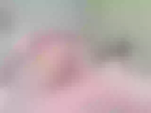 Live sex webcam photo for HOTMODELSEX #274197458