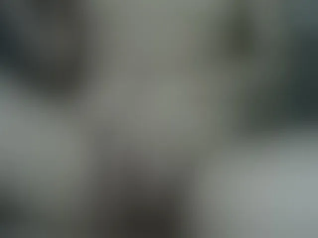 Live sex webcam photo for HOTTIEMEE #291335898