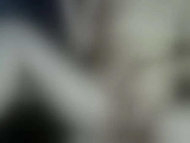 Live sex webcam photo for HOTTIEMEE #291337441