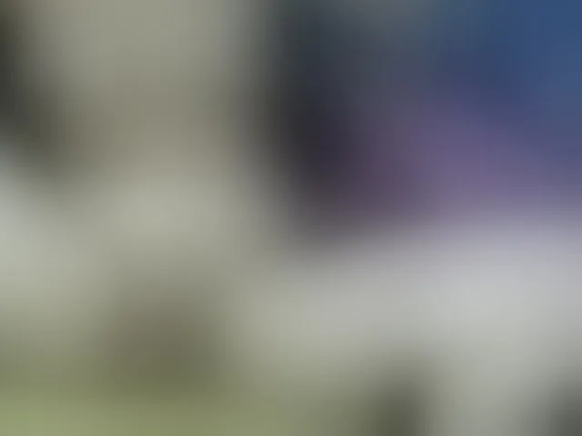 Live sex webcam photo for HOTTIEMEE #291810506