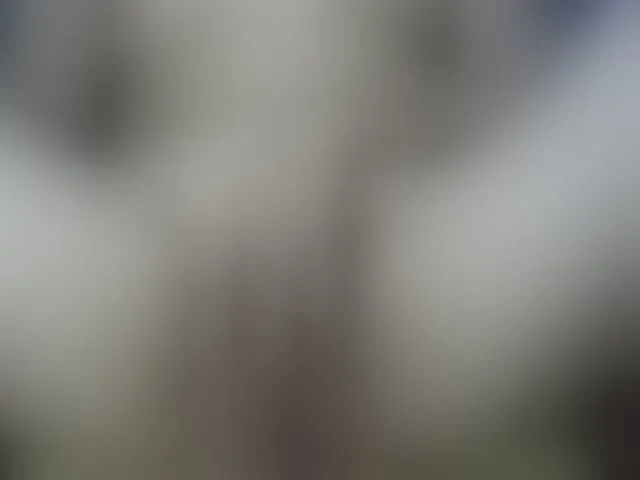 Live sex webcam photo for HOTTIEMEE #291814014