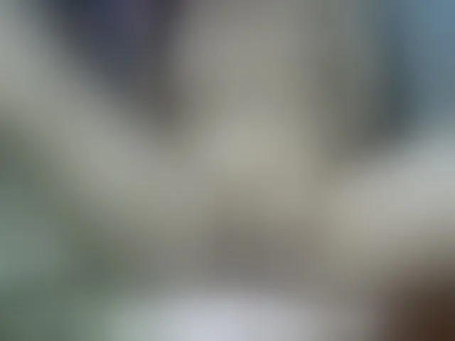 Live sex webcam photo for HOTTIEMEE #291834664