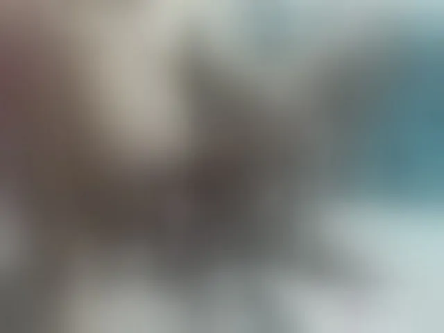 Live sex webcam photo for HaileyVice #292760368