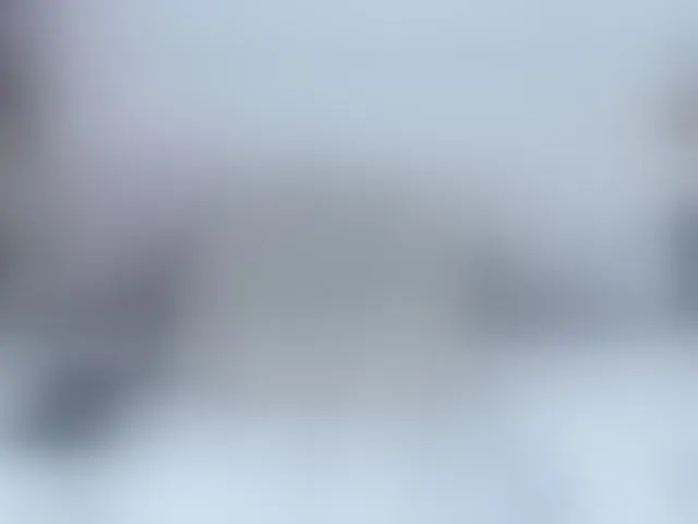Live sex webcam photo for Haileylee #292778464