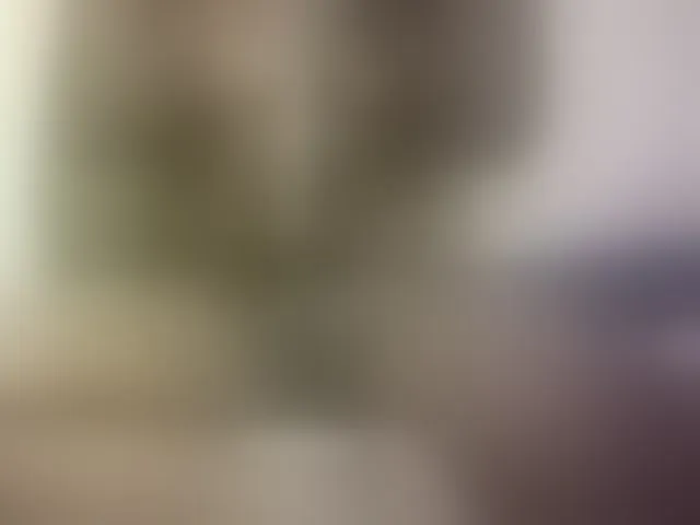 Live sex webcam photo for Hairy-ebony-couple #292940420