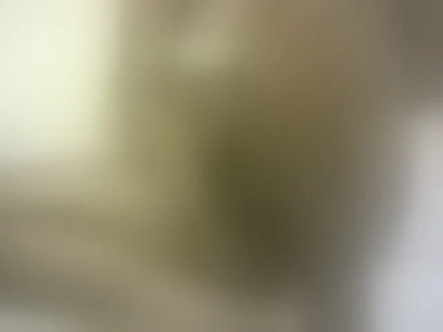 Live sex webcam photo for Hairy-ebony-couple #293037885