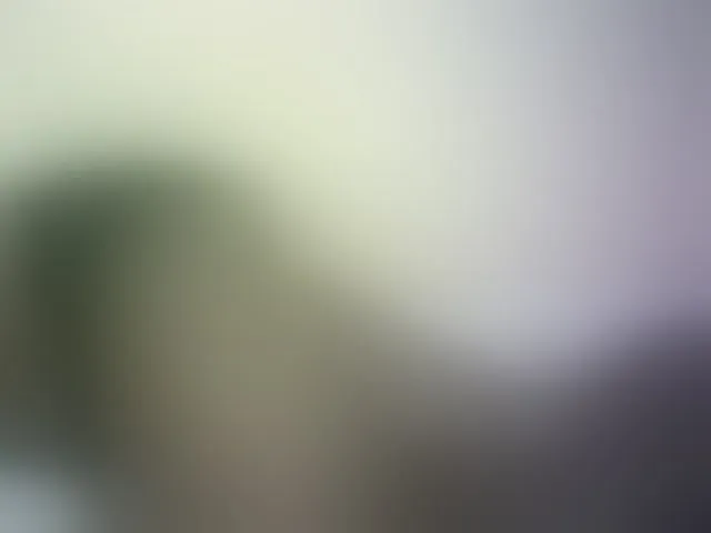 Live sex webcam photo for Hairy-ebony-couple #293062940