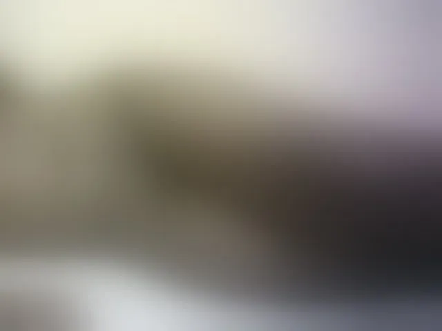 Live sex webcam photo for Hairy-ebony-couple #293152239