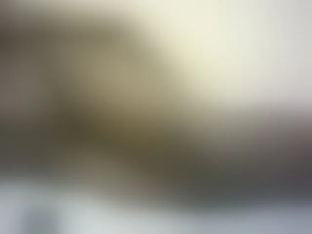 Live sex webcam photo for Hairy-ebony-couple #293154032