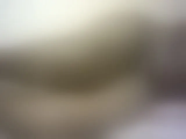 Live sex webcam photo for Hairy-ebony-couple #293176162
