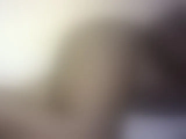 Live sex webcam photo for Hairy-ebony-couple #293184089