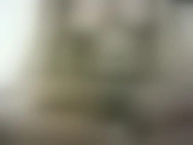 Live sex webcam photo for Hairy-ebony-couple #293196791