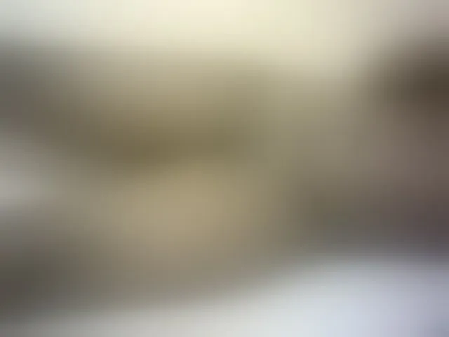 Live sex webcam photo for Hairy-ebony-couple #293198367