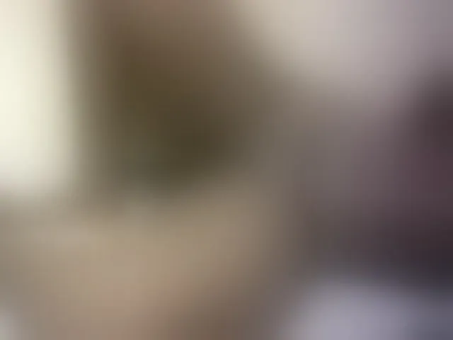 Live sex webcam photo for Hairy-ebony-couple #293301330