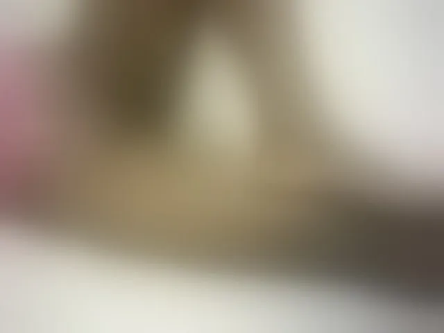 Live sex webcam photo for Hairy-ebony-couple #293349038
