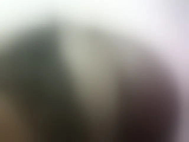 Live sex webcam photo for Hairy-ebony-couple #293356075