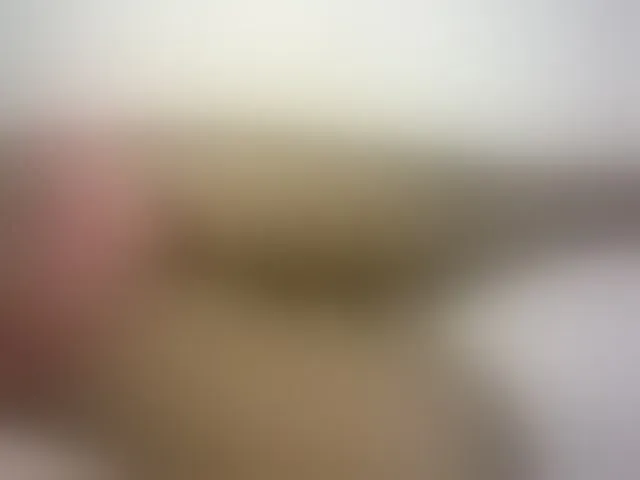 Live sex webcam photo for Hairy-ebony-couple #293370700