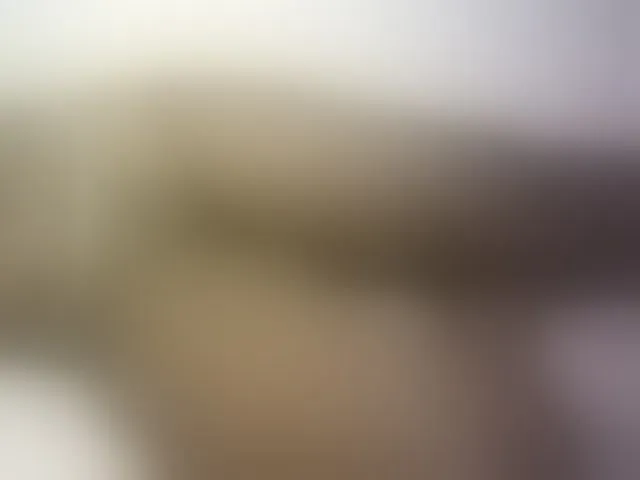 Live sex webcam photo for Hairy-ebony-couple #293427532