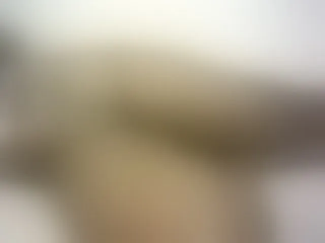 Live sex webcam photo for Hairy-ebony-couple #293435084