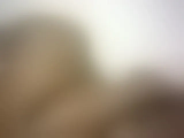 Live sex webcam photo for Hairy-ebony-couple #293491572