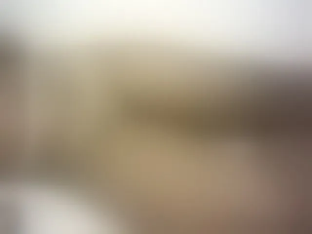 Live sex webcam photo for Hairy-ebony-couple #293555071