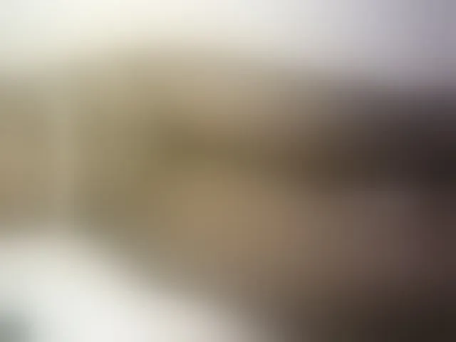 Live sex webcam photo for Hairy-ebony-couple #293556862