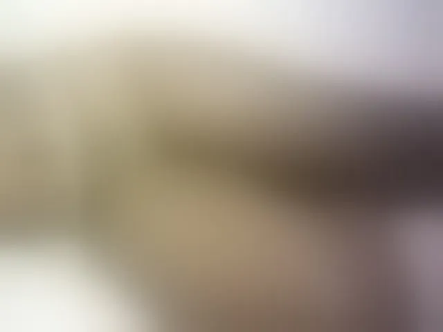 Live sex webcam photo for Hairy-ebony-couple #293572352