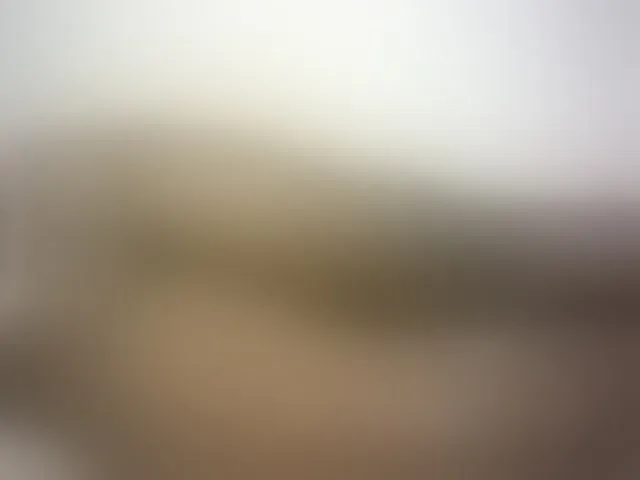 Live sex webcam photo for Hairy-ebony-couple #293580625