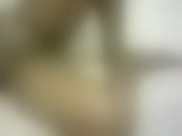 Live sex webcam photo for Hairy-ebony-couple #293585968