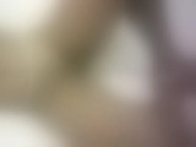 Live sex webcam photo for Hairy-ebony-couple #293594057