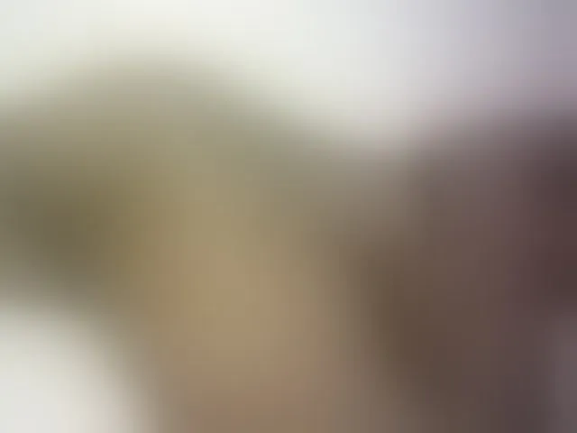 Live sex webcam photo for Hairy-ebony-couple #293595294