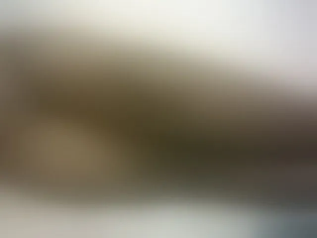 Live sex webcam photo for Hairy-ebony-couple #293604978