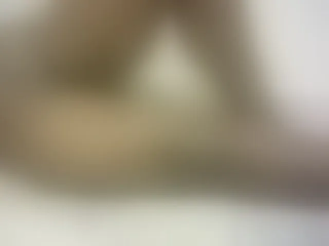 Live sex webcam photo for Hairy-ebony-couple #293607675