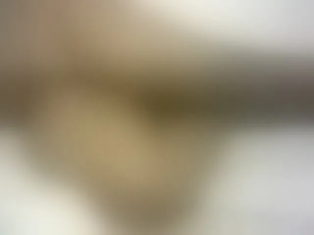 Live sex webcam photo for Hairy-ebony-couple #293609537