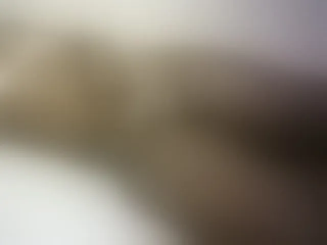 Live sex webcam photo for Hairy-ebony-couple #293629843