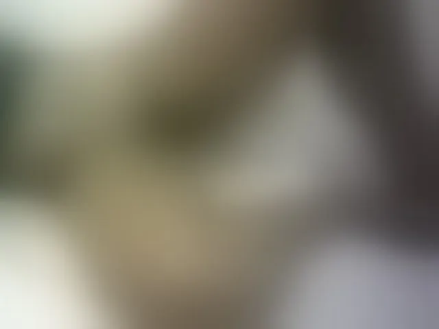 Live sex webcam photo for Hairy-ebony-couple #293631157