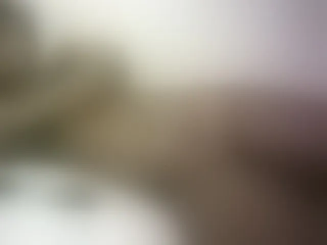 Live sex webcam photo for Hairy-ebony-couple #293647089