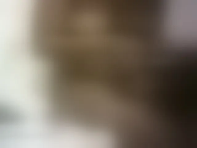 Live sex webcam photo for Hairy-ebony-couple #293648624
