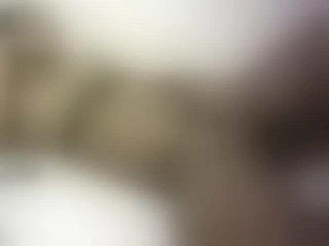 Live sex webcam photo for Hairy-ebony-couple #293650283
