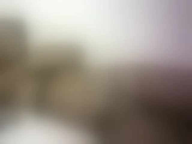 Live sex webcam photo for Hairy-ebony-couple #293652942