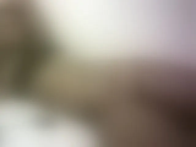 Live sex webcam photo for Hairy-ebony-couple #293655669