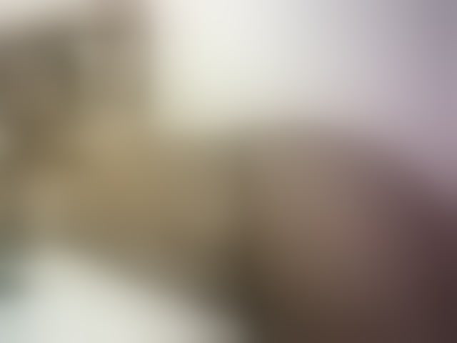 Live sex webcam photo for Hairy-ebony-couple #293678804