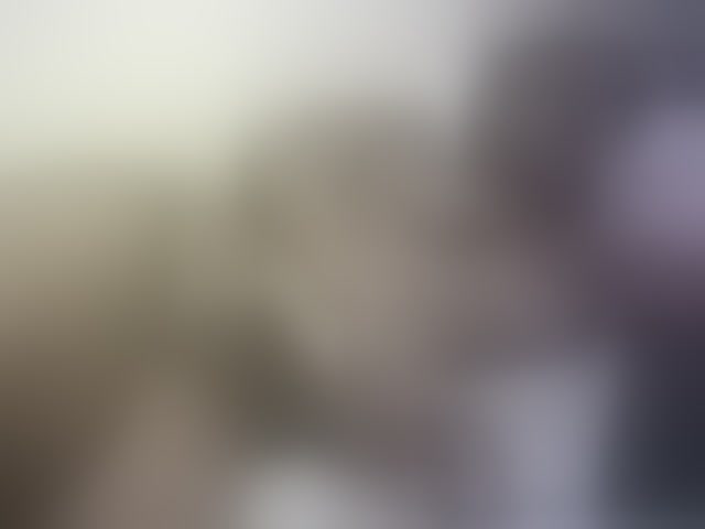 Live sex webcam photo for Hairy-ebony-couple #293699891
