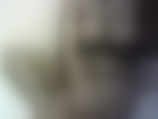 Live sex webcam photo for Hairy-ebony-couple #293705756