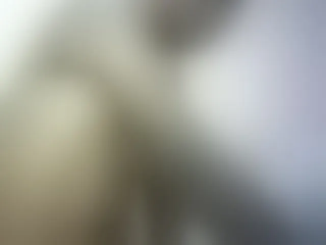 Live sex webcam photo for Hairy-ebony-couple #293751867