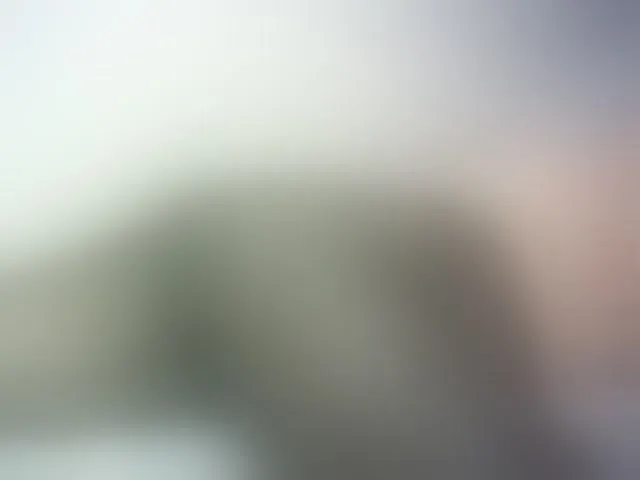 Live sex webcam photo for Hairy-ebony-couple #293771808