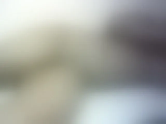 Live sex webcam photo for Hairy-ebony-couple #293775041