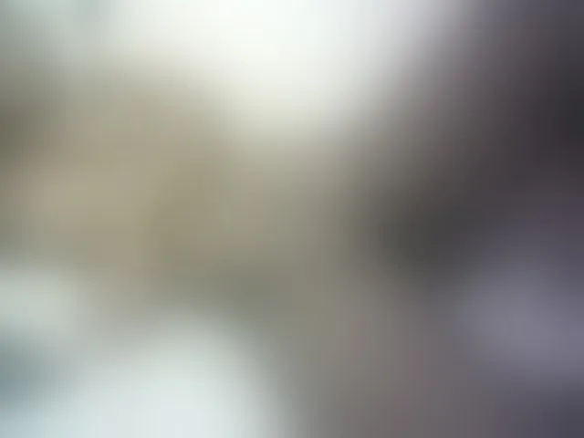 Live sex webcam photo for Hairy-ebony-couple #293799323