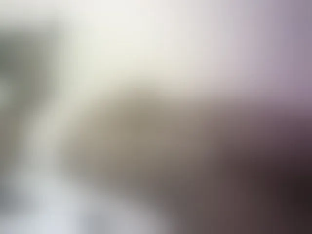 Live sex webcam photo for Hairy-ebony-couple #293808742